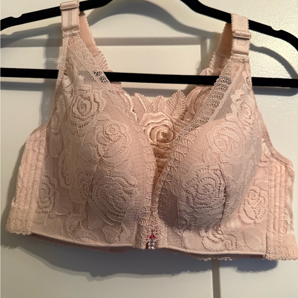 Floral Secrets Pushup Bralette in Blush Pink 38E